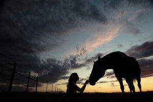 silhouette of a woman with a horse