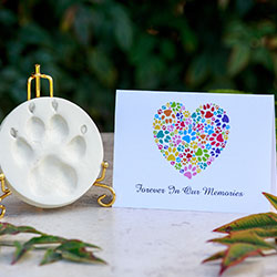 white clay paw print with card