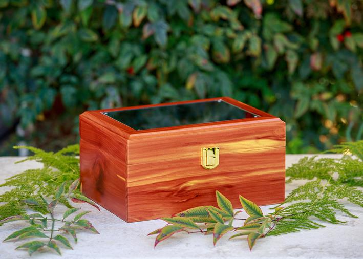 one cedar memory chest